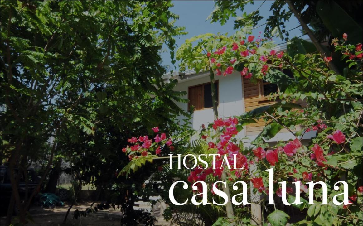 Hostal Casaluna San Andres Exteriör bild
