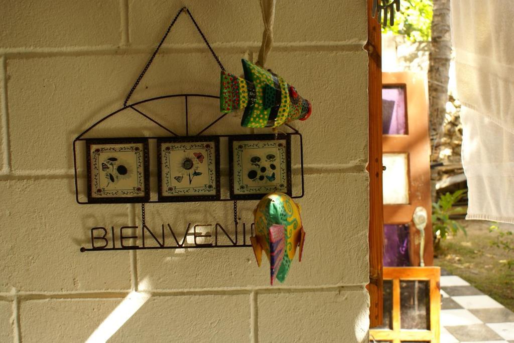 Hostal Casaluna San Andres Rum bild