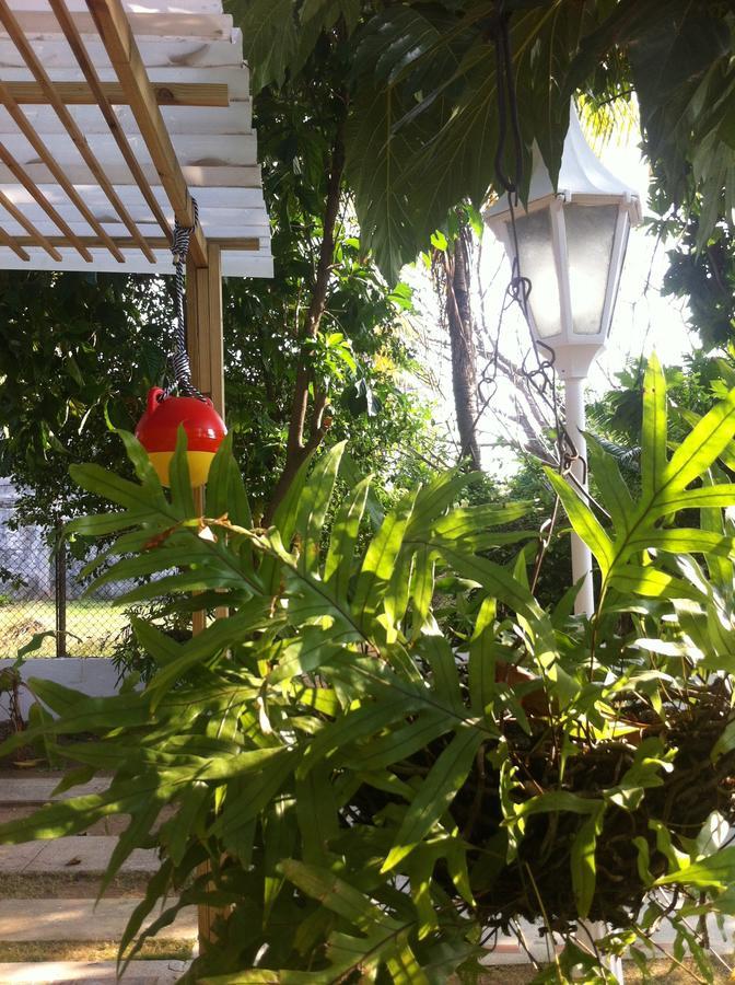 Hostal Casaluna San Andres Exteriör bild